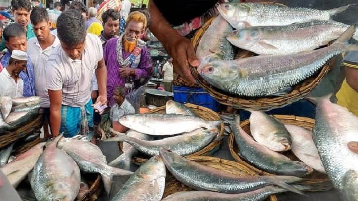 আজ থেকে ৬০০ টাকা কেজিতে ইলিশ বিক্রি করবে বিএফডিসি