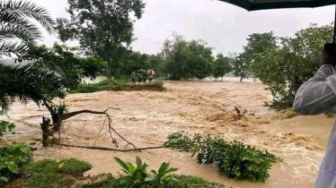 বন্যায় শেরপুর ও ময়মনসিংহে তলিয়ে গেছে ১৬৩ গ্রাম, ৩ জনের মৃত্যু