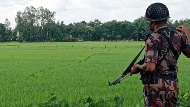 সীমা লঙ্ঘন করে কাঁটাতারের বেড়া স্থাপন চেষ্টা,বিজিবির বাধা