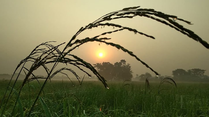 শীত ও শৈত্যপ্রবাহ নিয়ে যে বার্তা দিলো আবহাওয়া অফিস